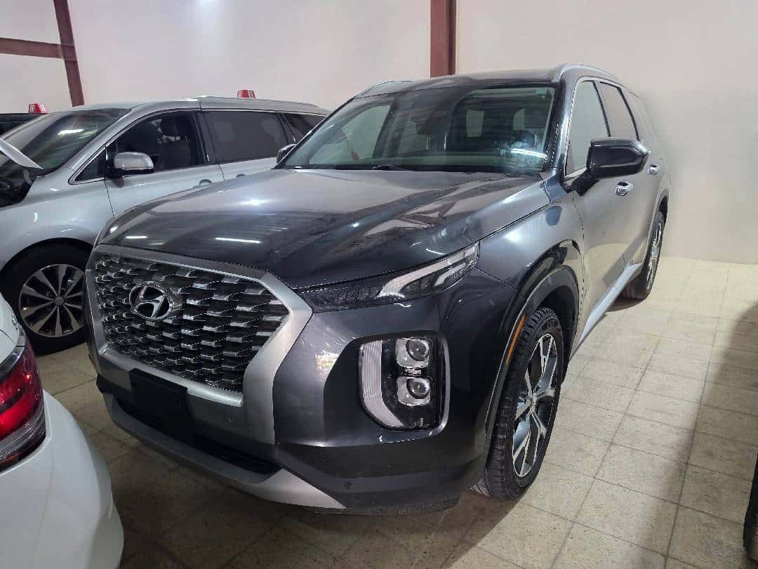 HYUNDAI PALISADE SEL 2020 thumbnail 1