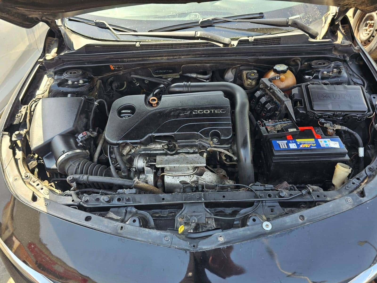 CHEVROLET MALIBU 2019 thumbnail 5