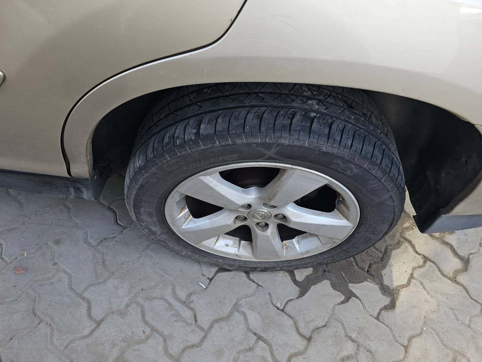 LEXUS RX 350 2007 thumbnail 5