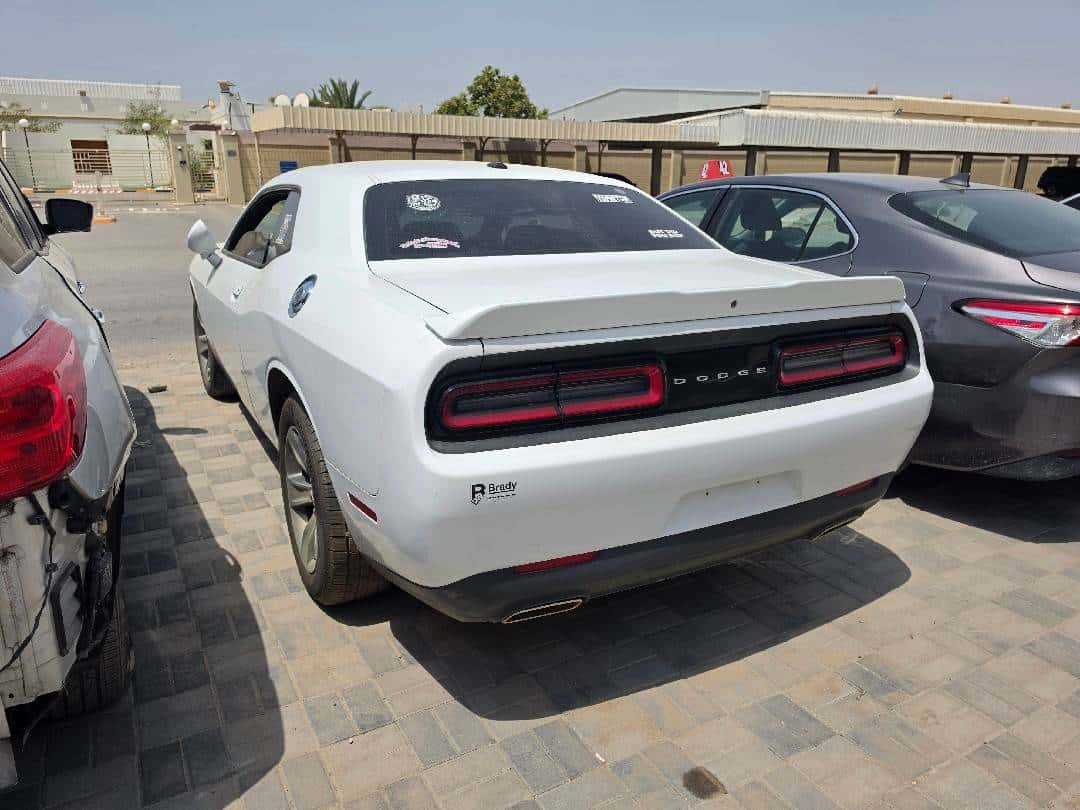 DODGE CHALLENGER 2019 thumbnail 1