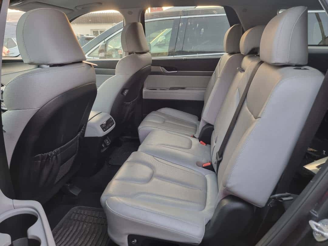 HYUNDAI PALISADE SEL 2020 thumbnail 5