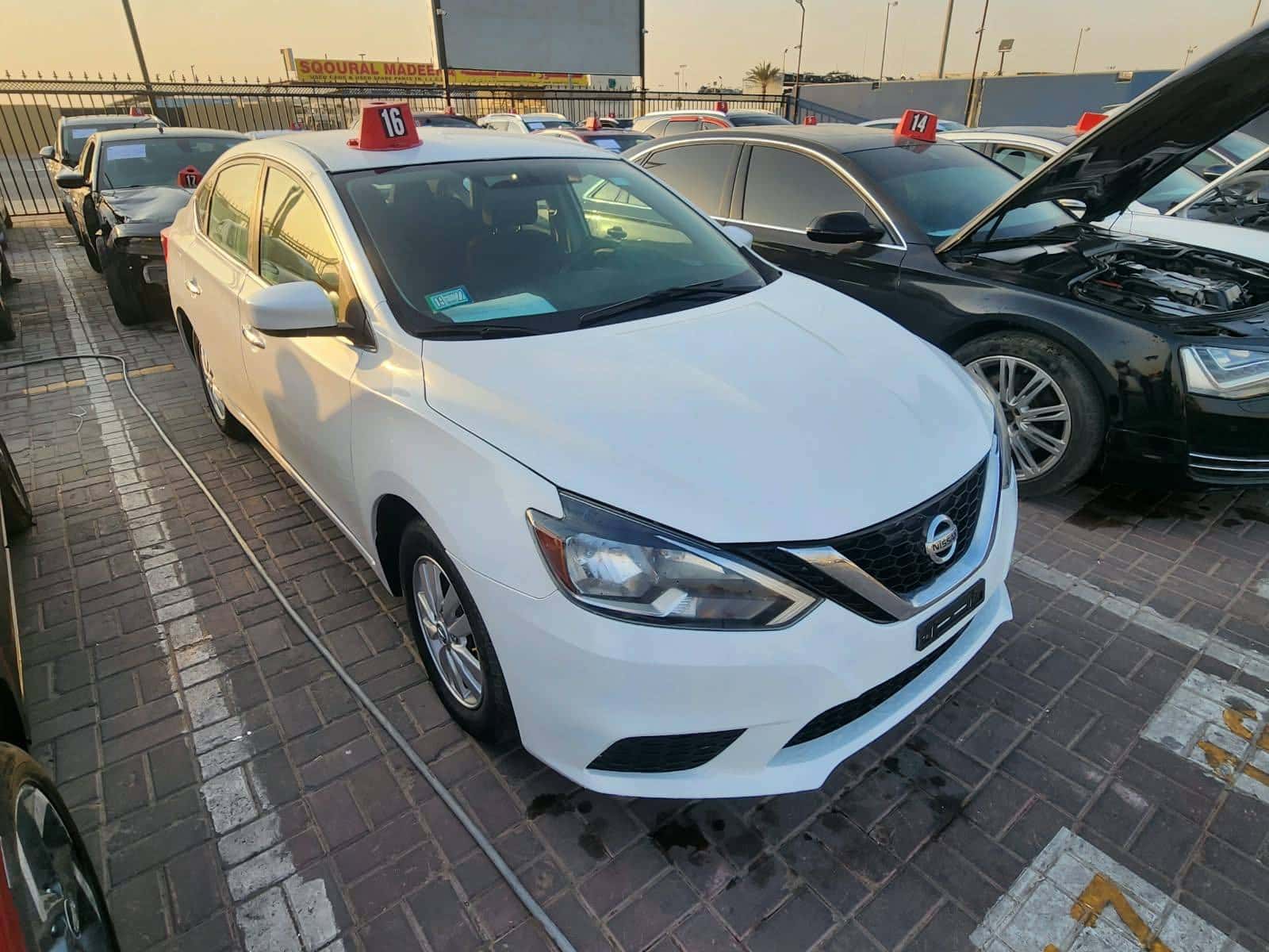 Nissan Sentra 2019 thumbnail 5