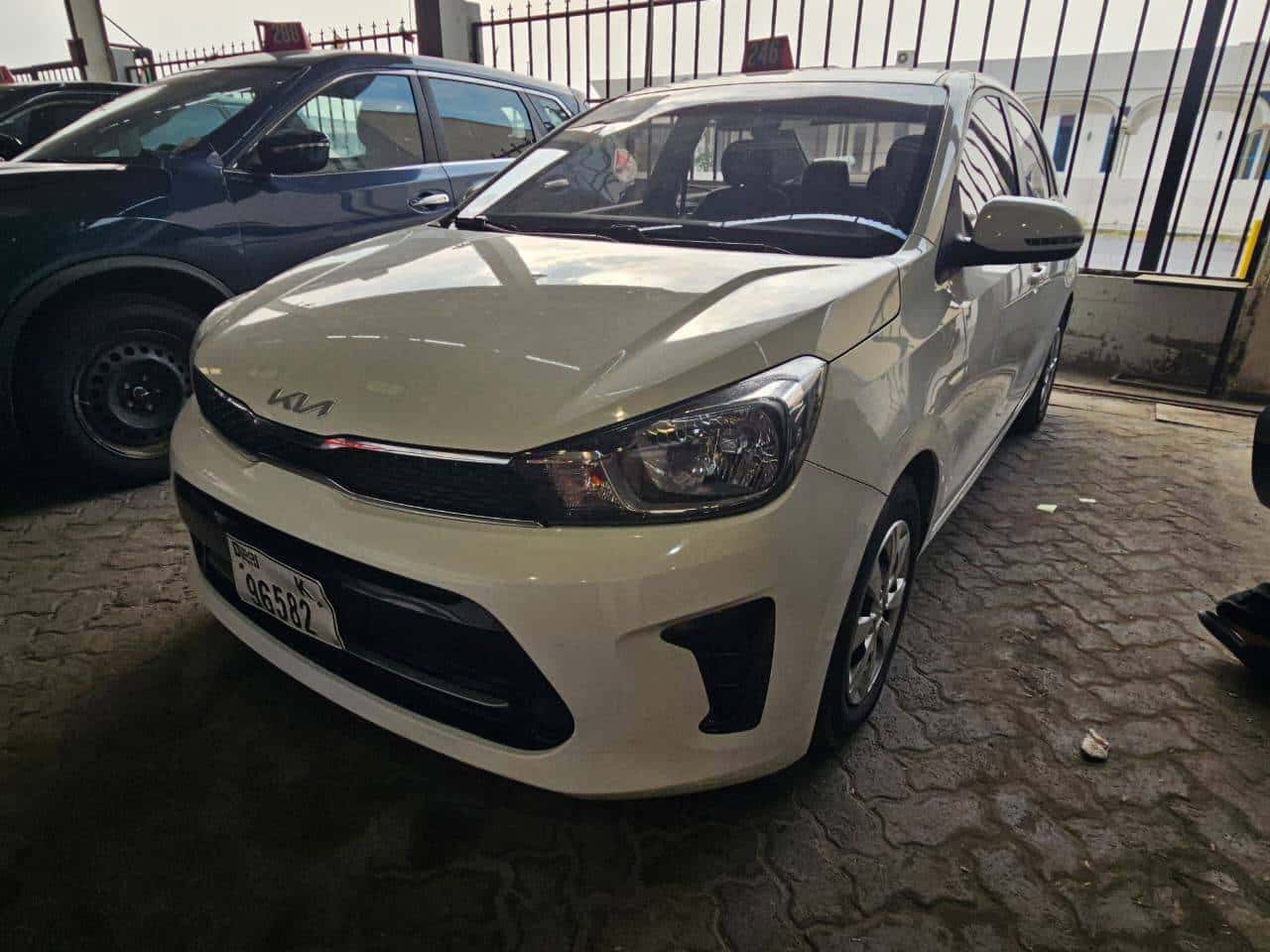 Kia PEGAS 2022 thumbnail 3