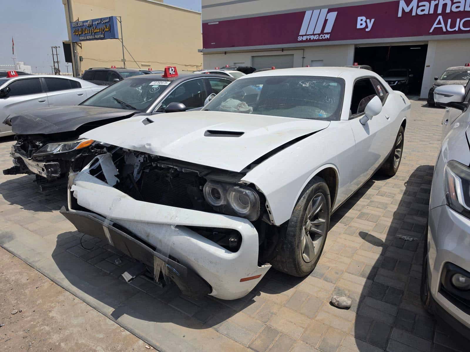 DODGE CHALLENGER 2019 thumbnail 2