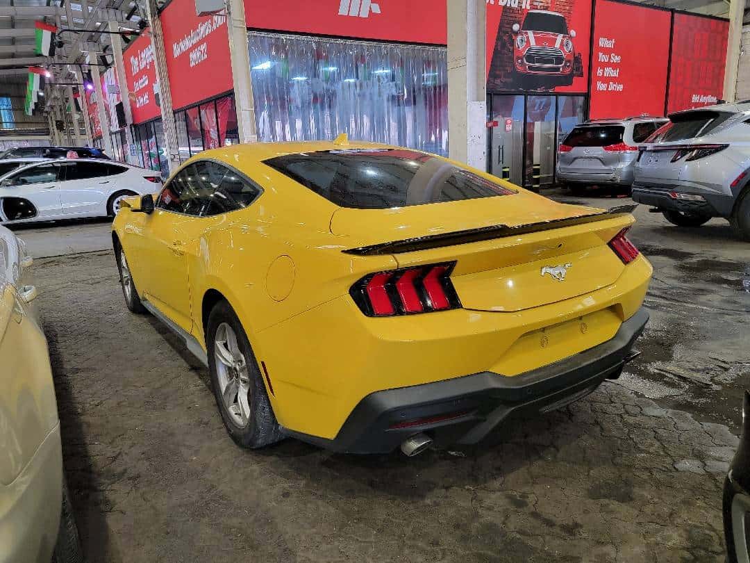 FORD MUSTANG 2024 thumbnail 1