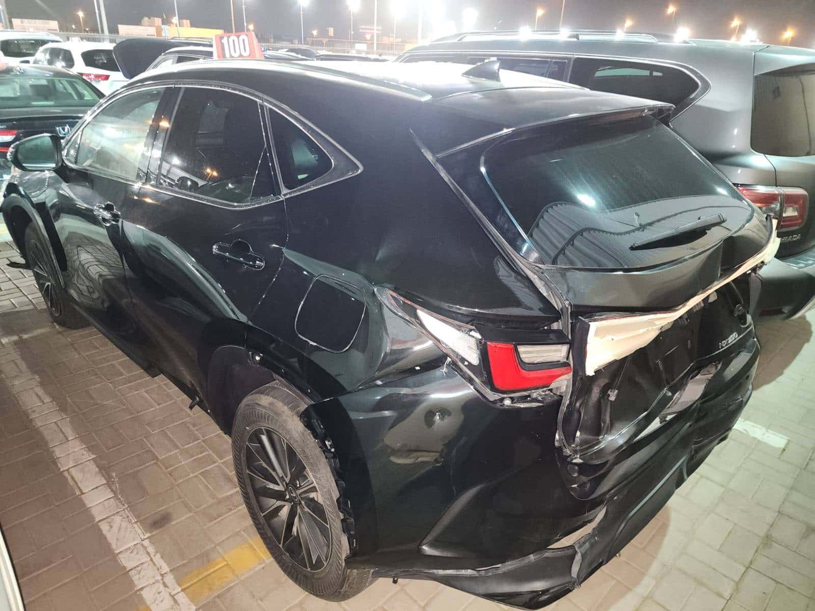 LEXUS NX 250 2024 thumbnail 6