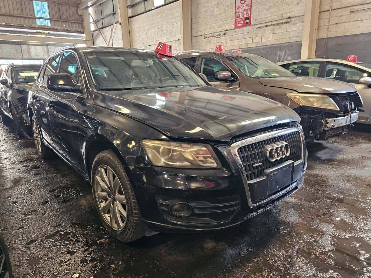 Audi Q5 2011 thumbnail 1