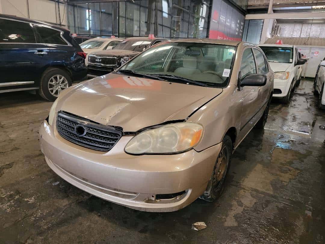 TOYOTA COROLLA - Exterior