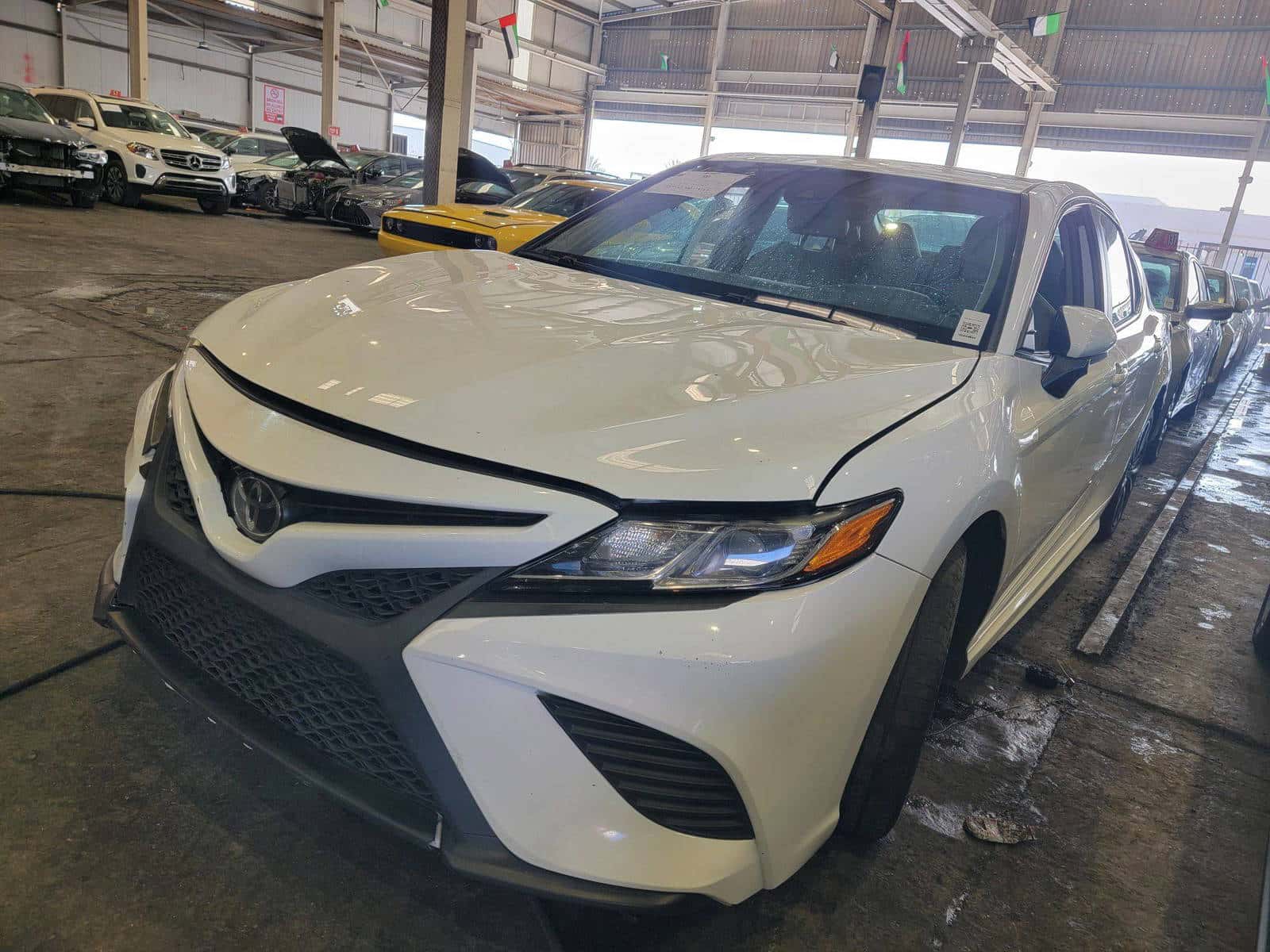 TOYOTA CAMRY - Exterior
