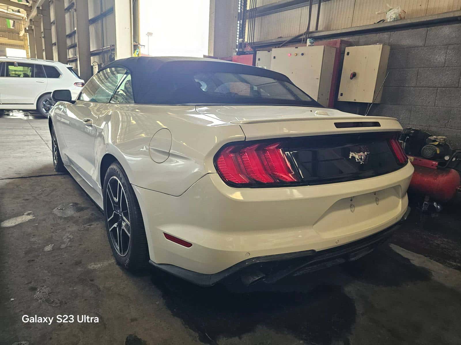 FORD MUSTANG - Exterior