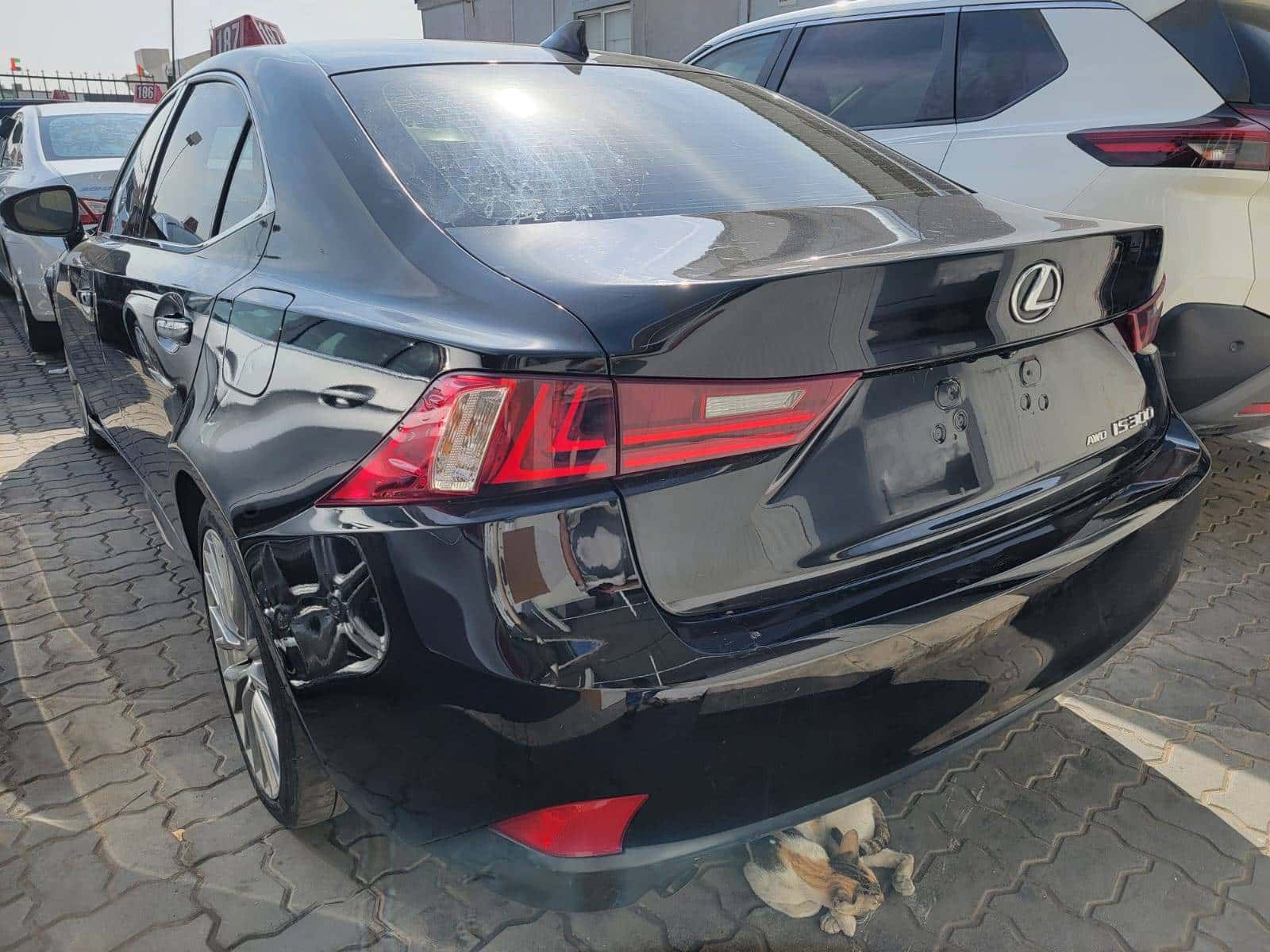 LEXUS IS 300 - Exterior