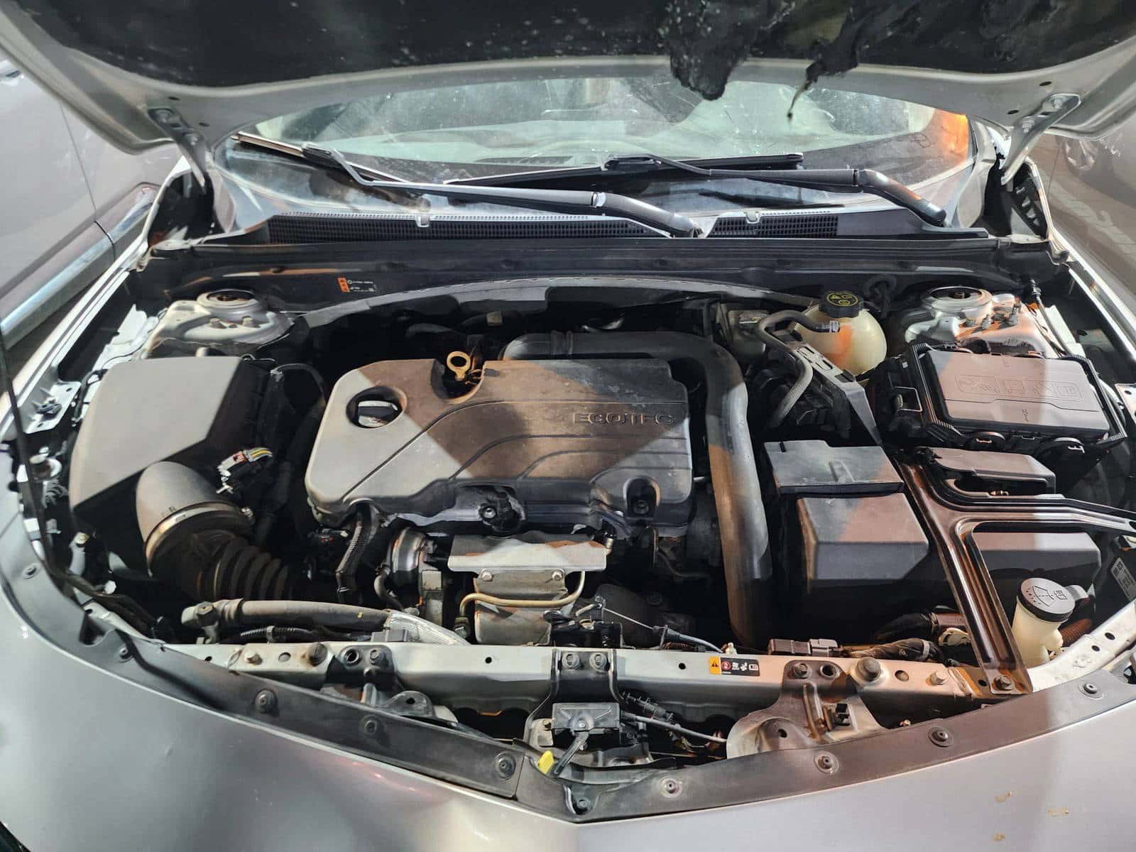 CHEVROLET MALIBU 2019 thumbnail 6