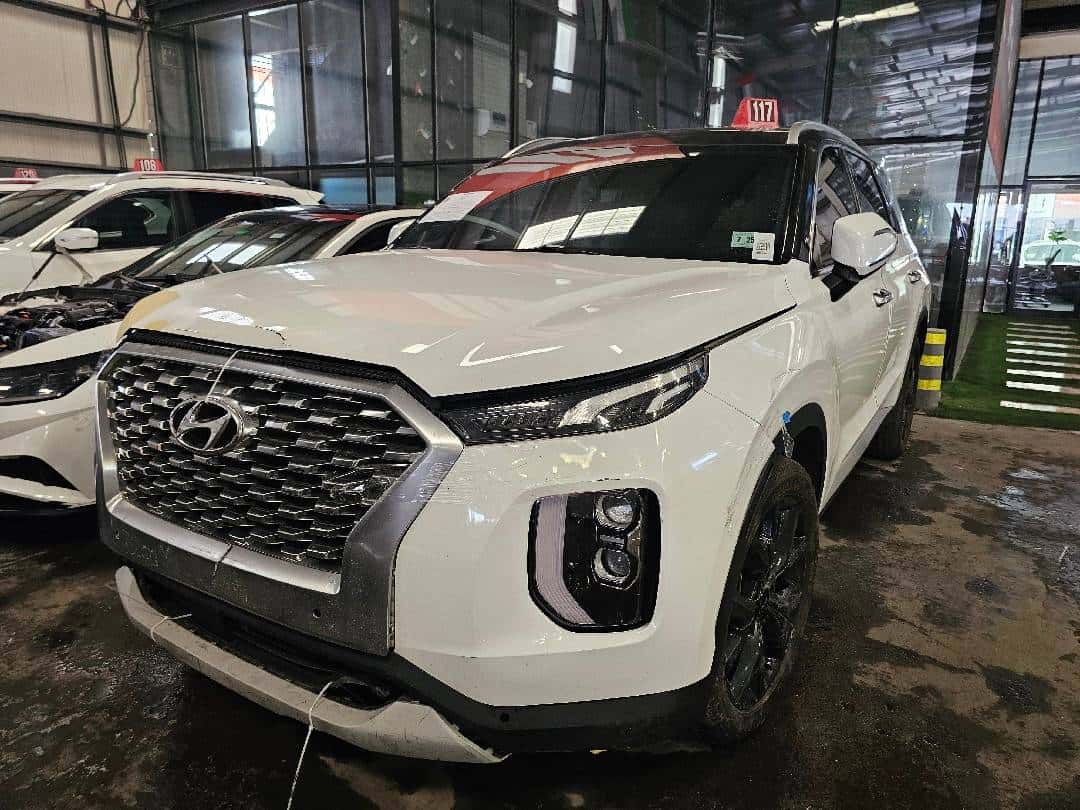 HYUNDAI PALISADE SEL 2020 thumbnail 1