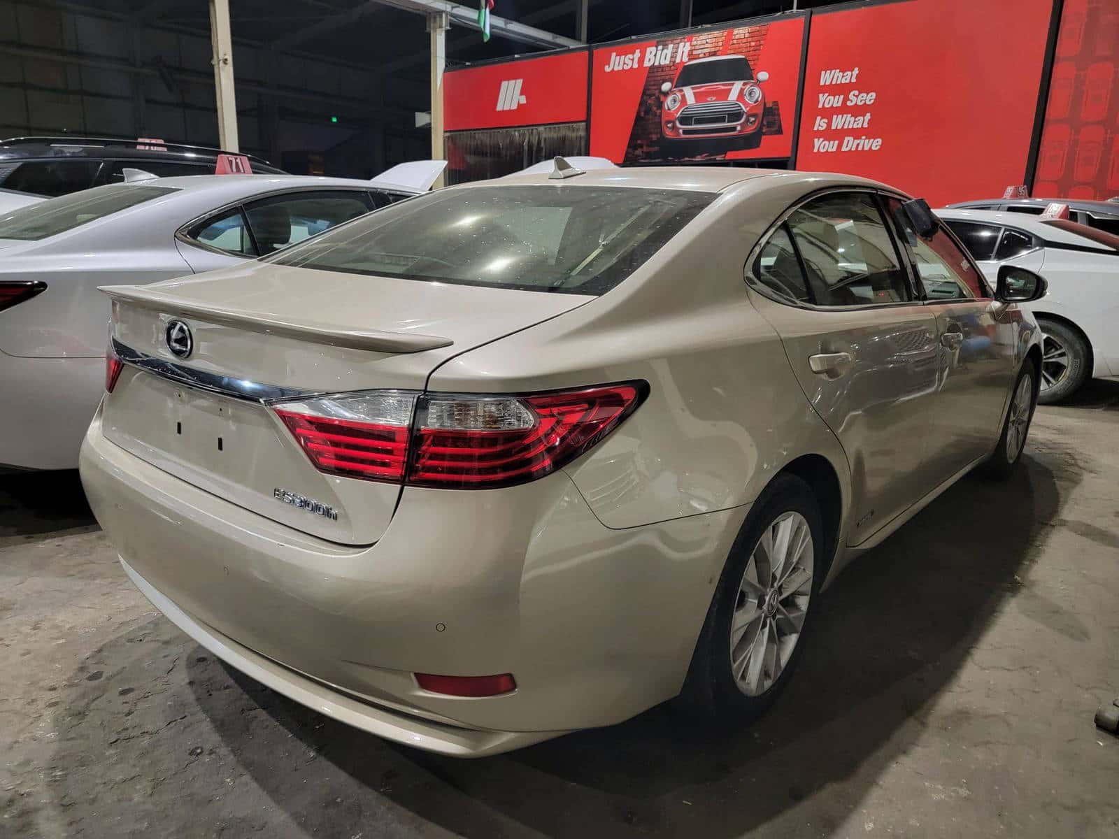 LEXUS ES 300H - Exterior