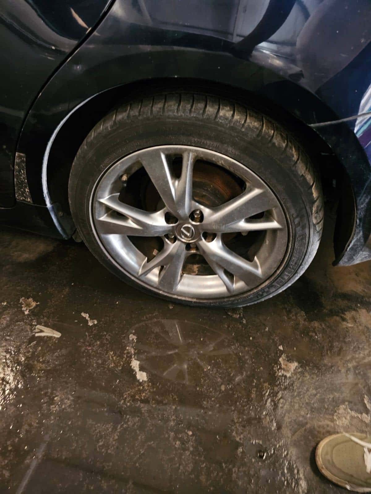 Lexus IS 250 2009 thumbnail 5