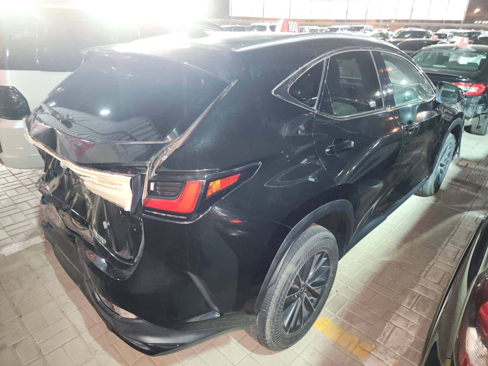 LEXUS NX 250 2024 thumbnail 7