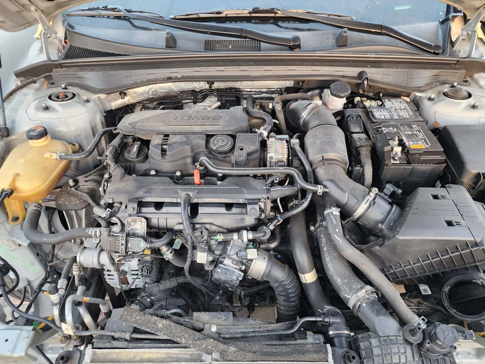 KIA K5 2022 thumbnail 5