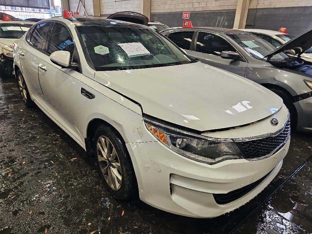KIA OPTIMA 2016 thumbnail 1