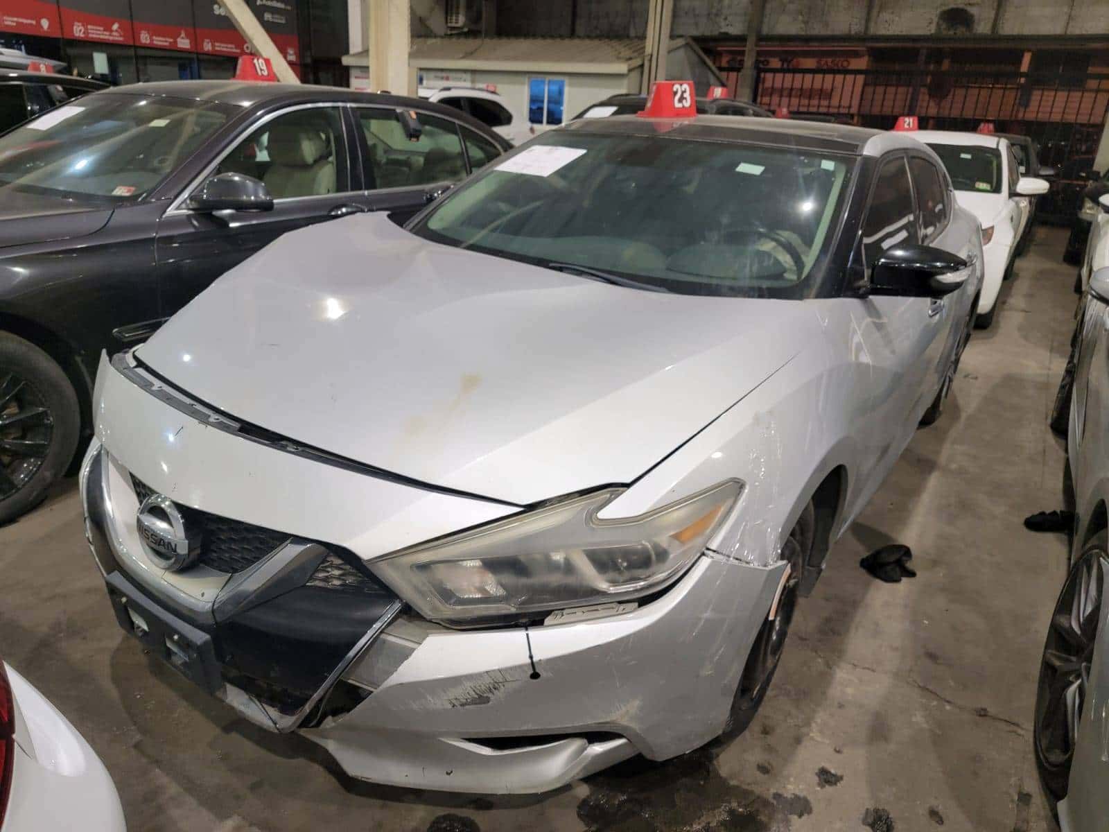 NISSAN MAXIMA 2017 thumbnail 1