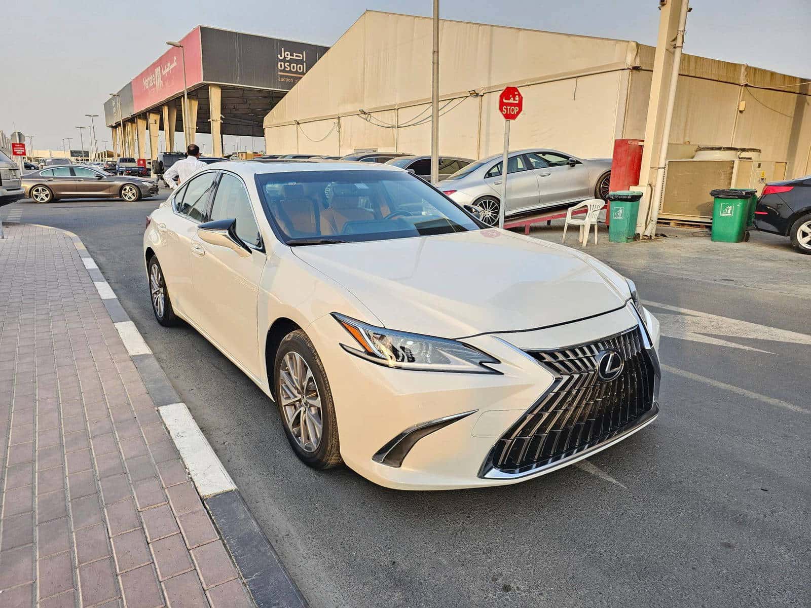 LEXUS ES 300H - Exterior
