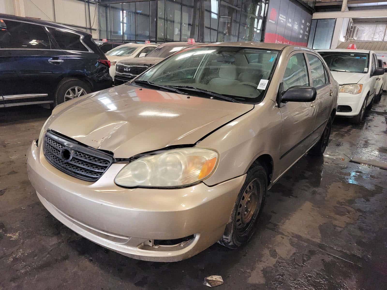 TOYOTA COROLLA - Exterior