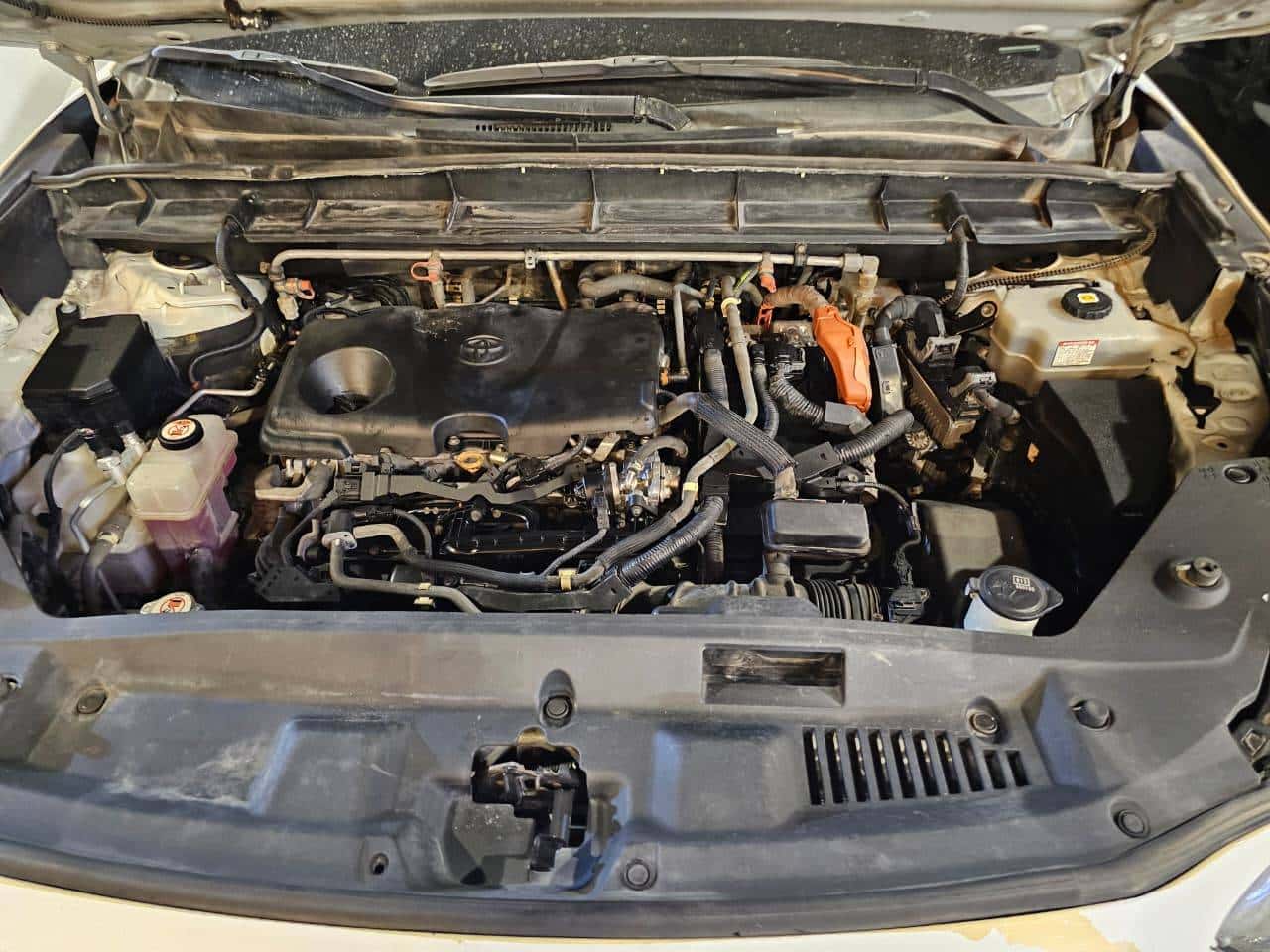 Toyota Highlander 2021 thumbnail 6