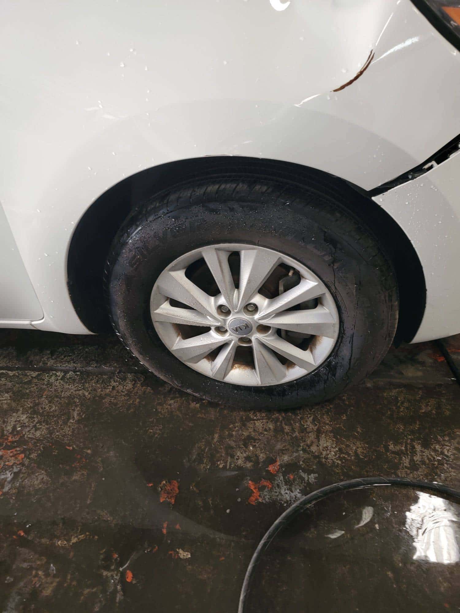 KIA SEDONA - Exterior