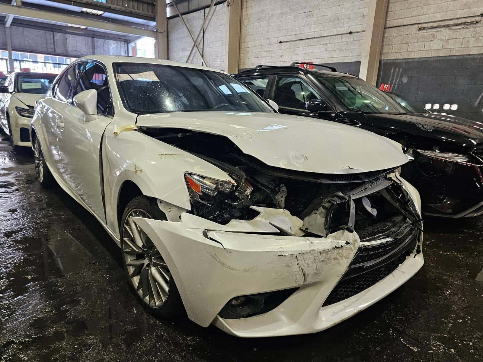 Lexus IS 250 2015 thumbnail 3