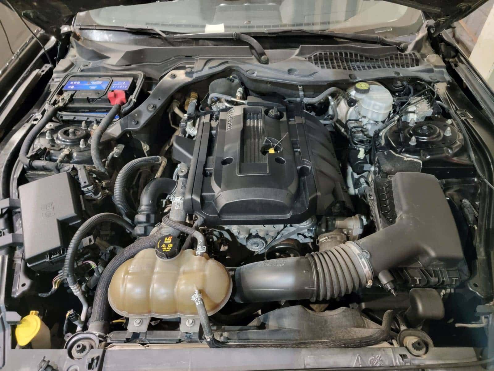 FORD MUSTANG 2019 thumbnail 7