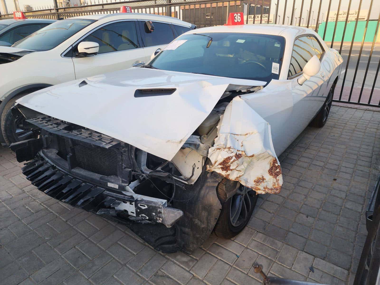 DODGE CHALLENGER 2019 thumbnail 4