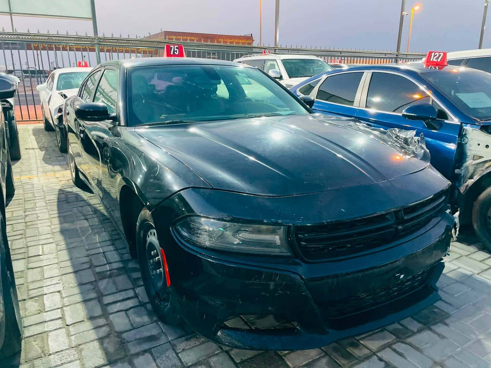 Dodge Charger 2020 thumbnail 3
