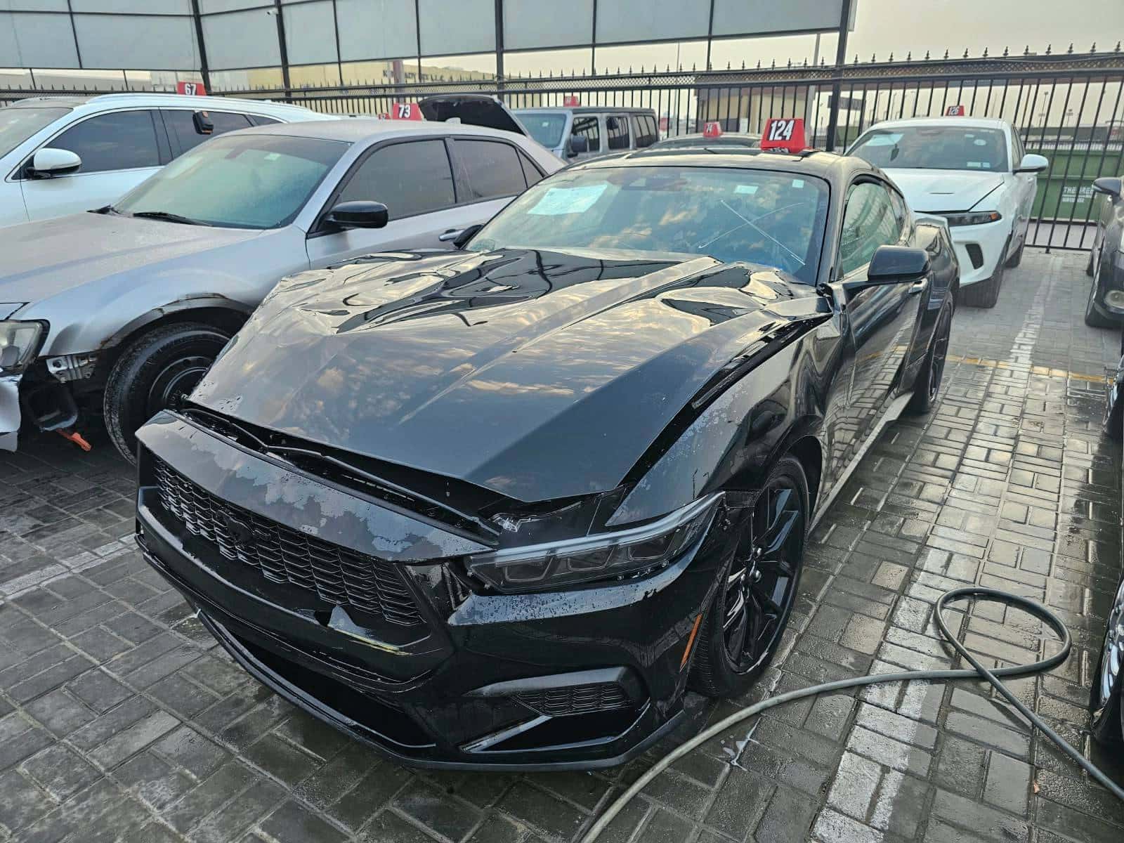 Ford Mustang 2025 thumbnail 4