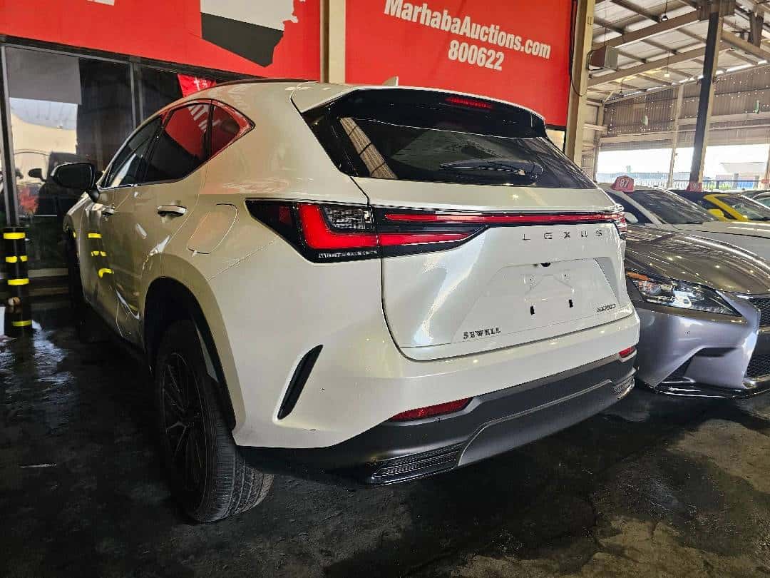 Lexus NX 250 2022 thumbnail 1