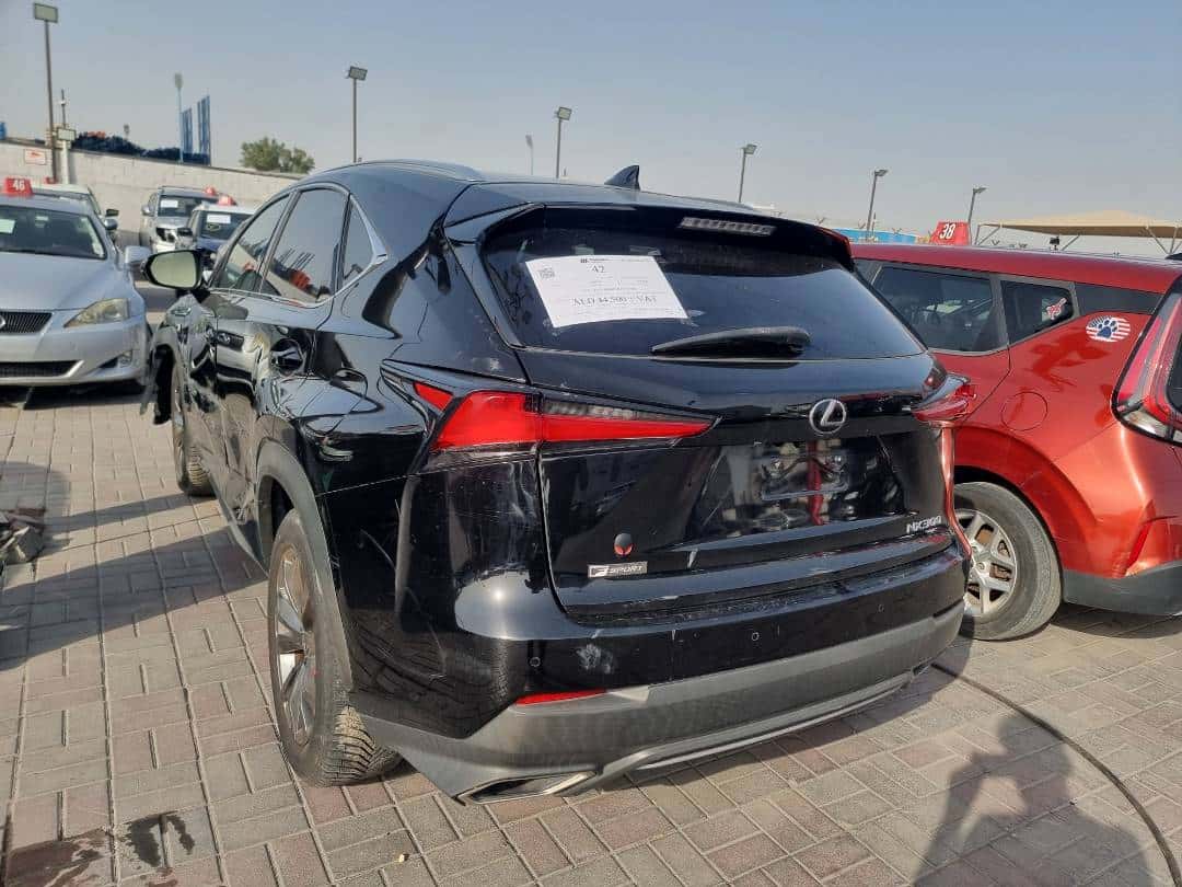 LEXUS NX 300 - Exterior