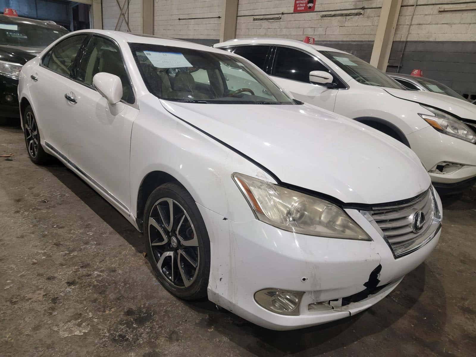 LEXUS ES 350 - Exterior