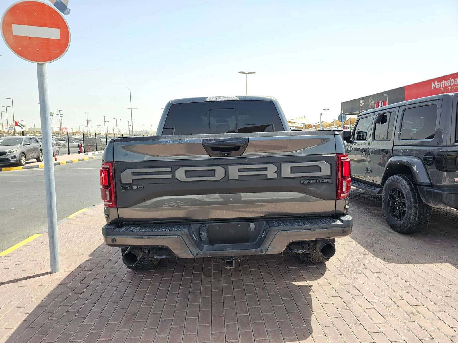 FORD F150 - Raptor 2020 thumbnail 5