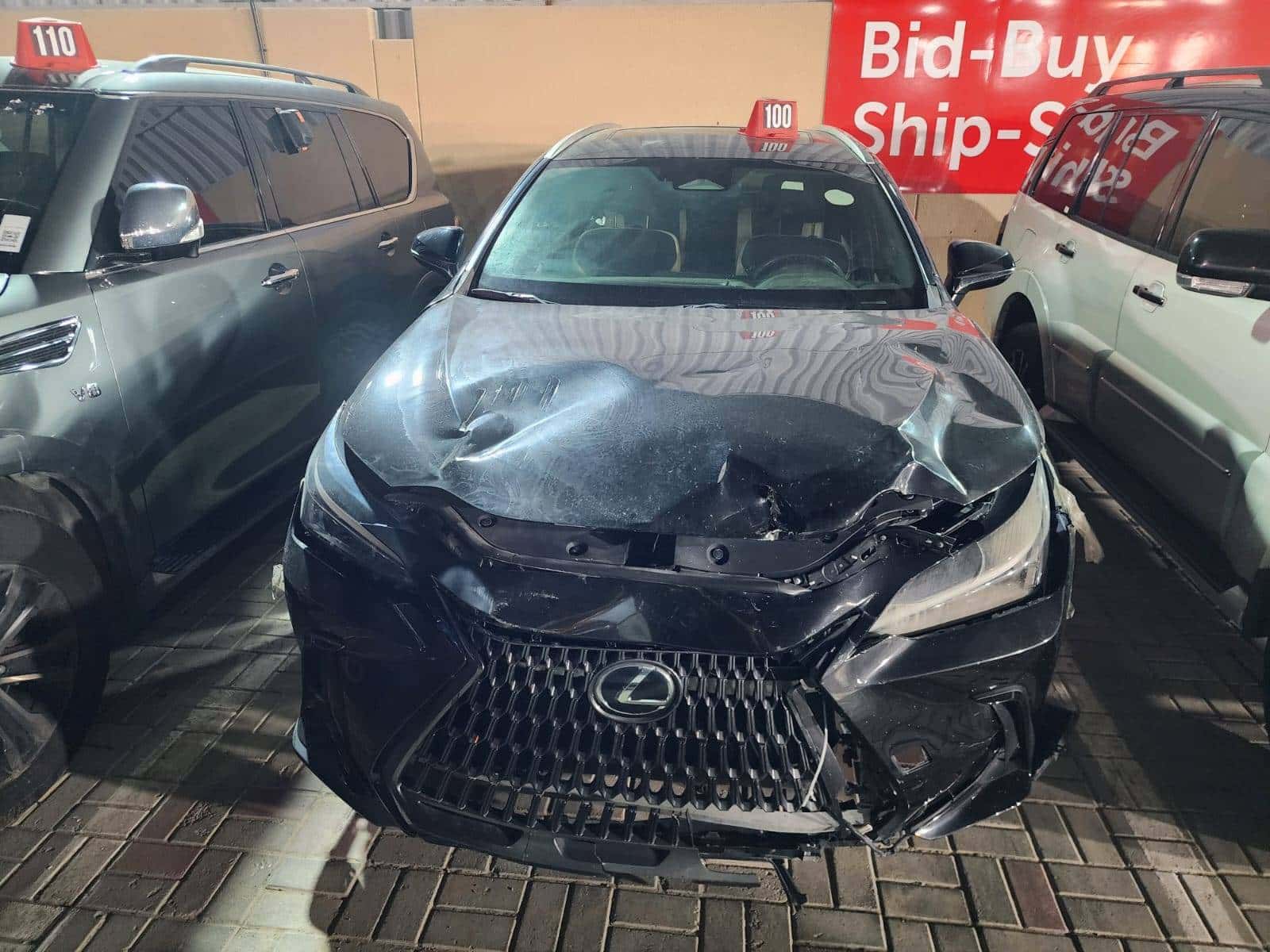 LEXUS NX 250 2024 thumbnail 3