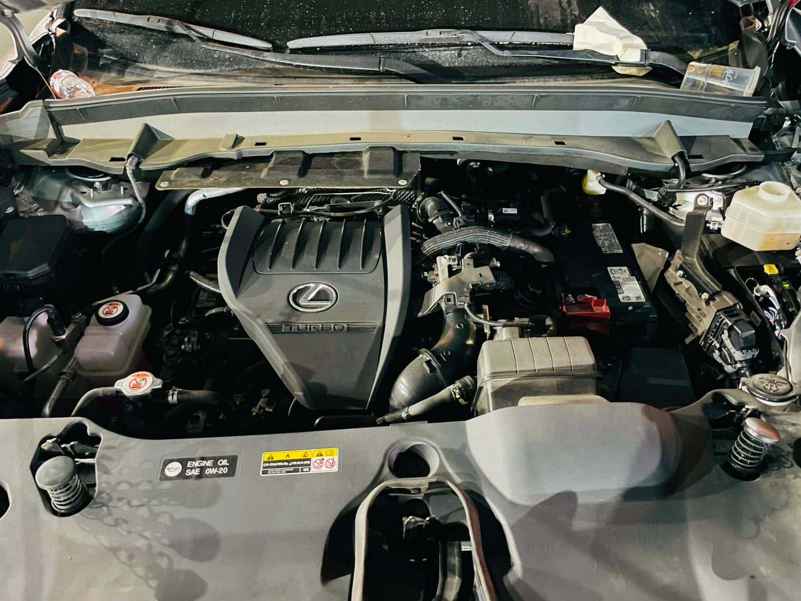 LEXUS TX 350 2024 thumbnail 4