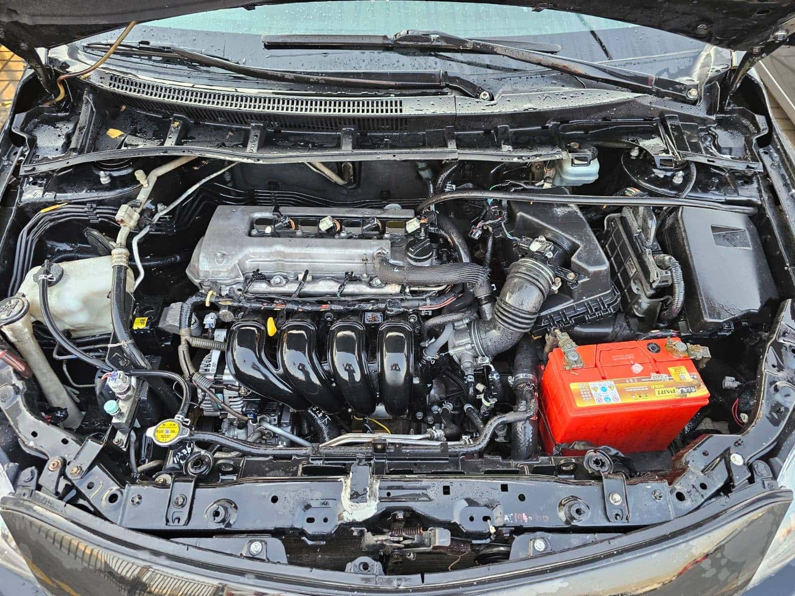 Toyota Corolla 2009 thumbnail 3