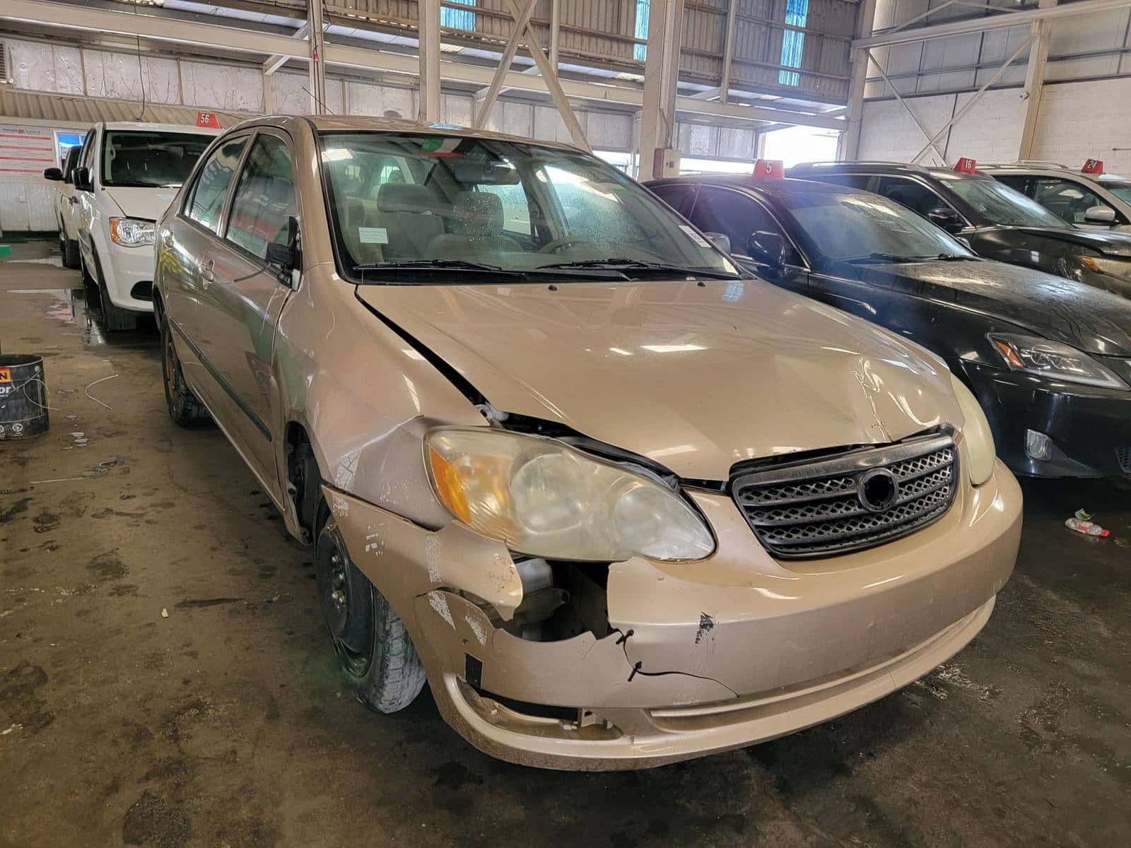 TOYOTA COROLLA - Exterior