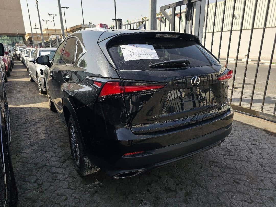 LEXUS NX 300 2018 thumbnail 1