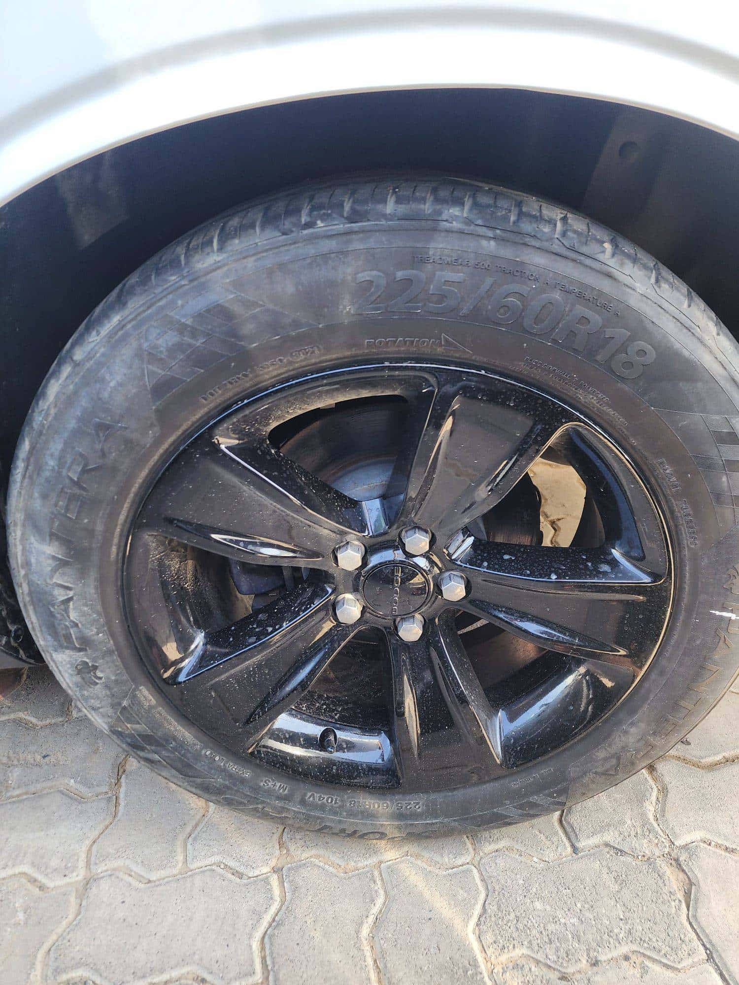 DODGE CHALLENGER - Exterior