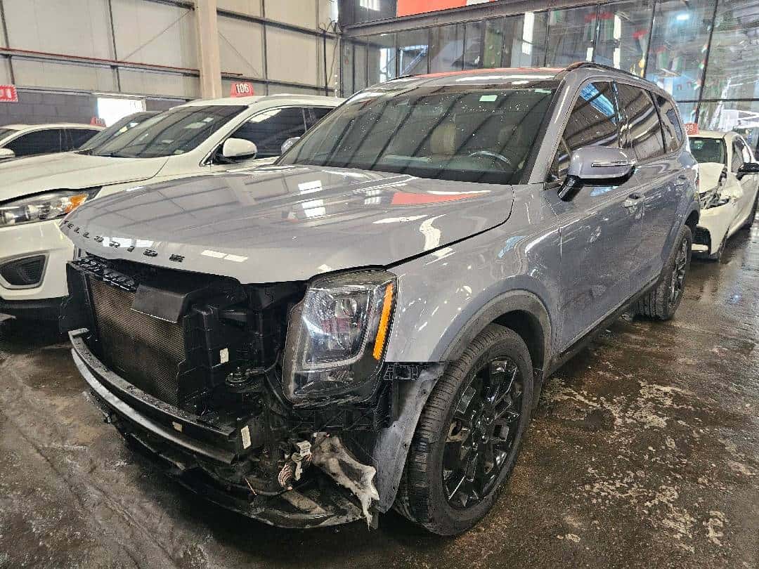 Kia Telluride 2021 thumbnail 1