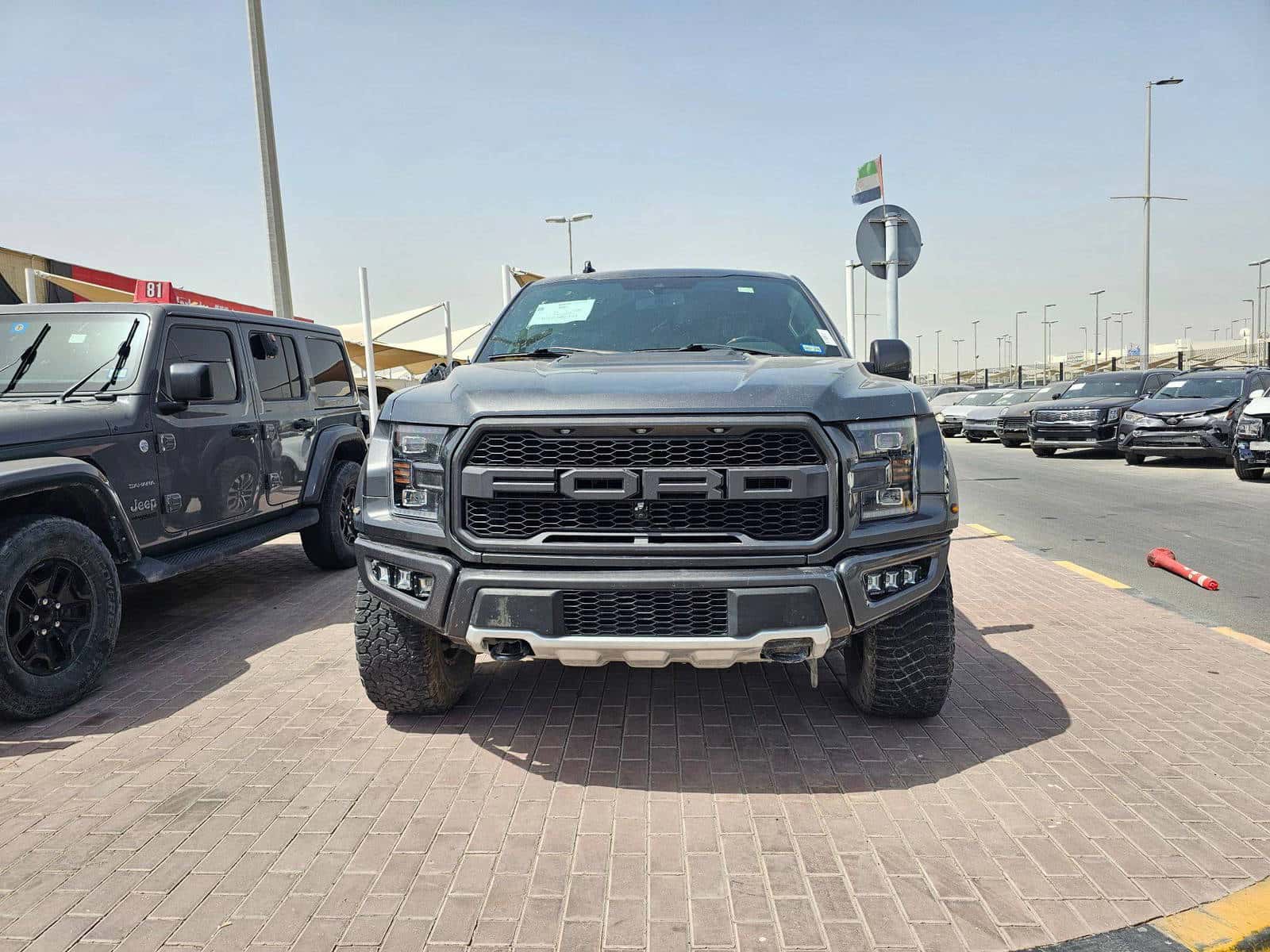 FORD F150 - Raptor 2020 thumbnail 2