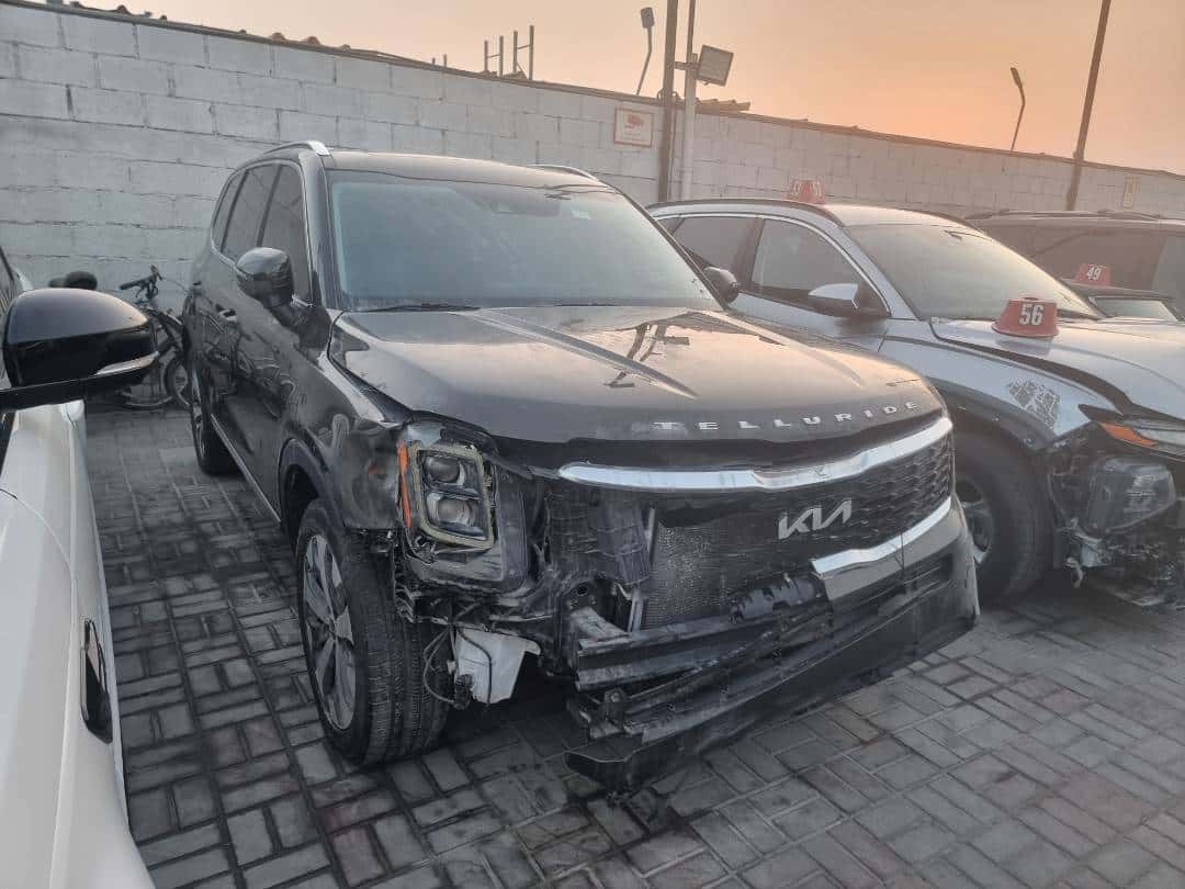 Kia Telluride 2022 thumbnail 3
