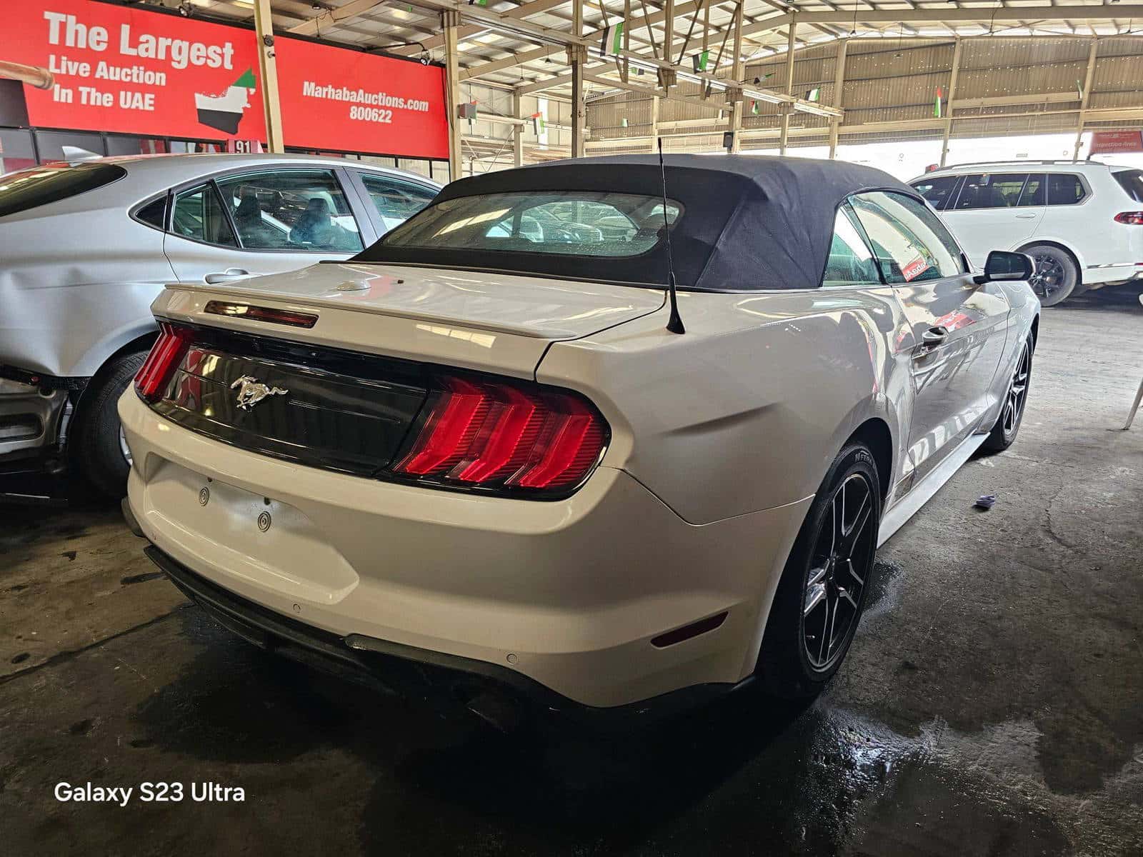 FORD MUSTANG - Exterior