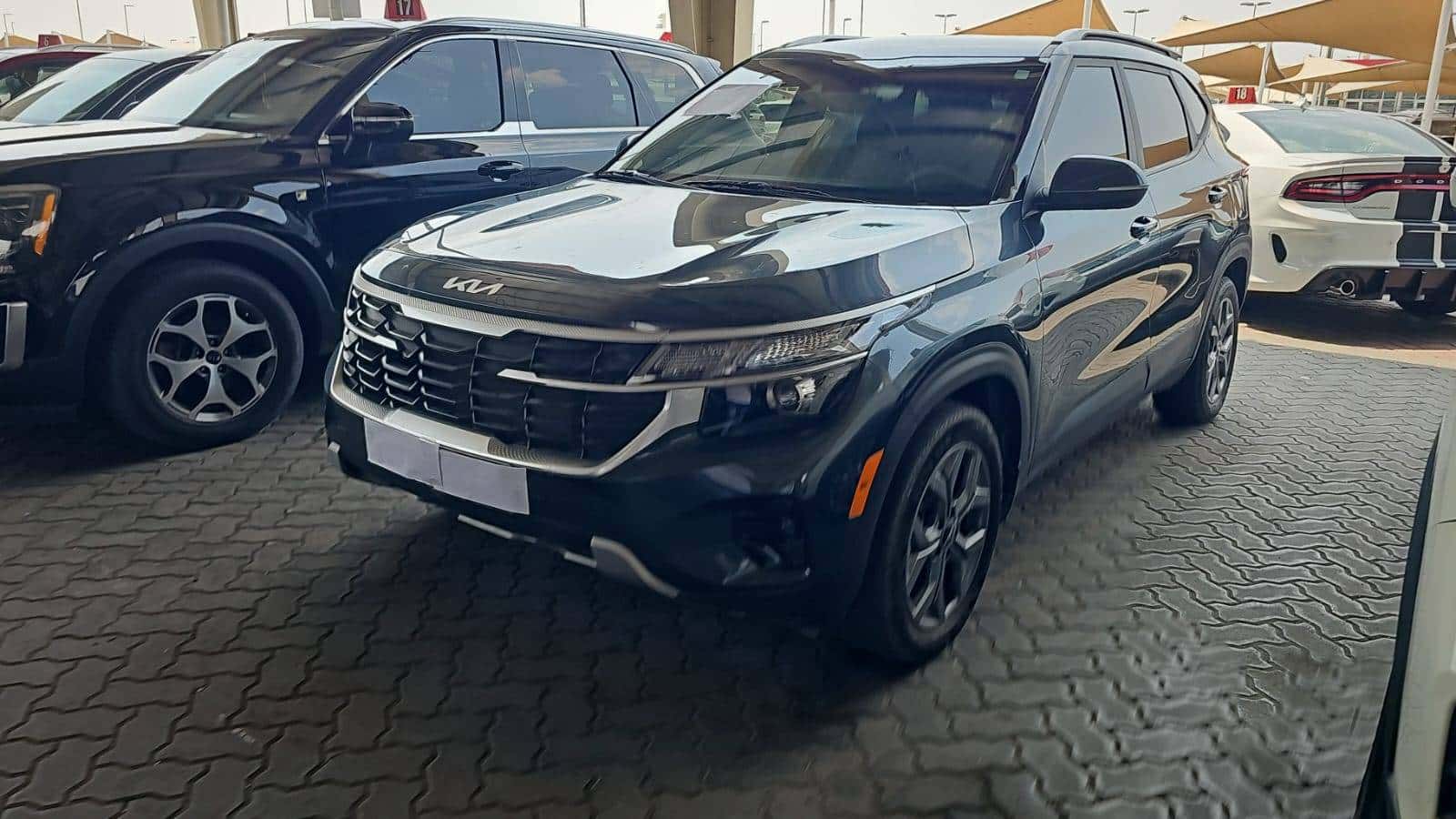 Kia Seltos 2024 thumbnail 5