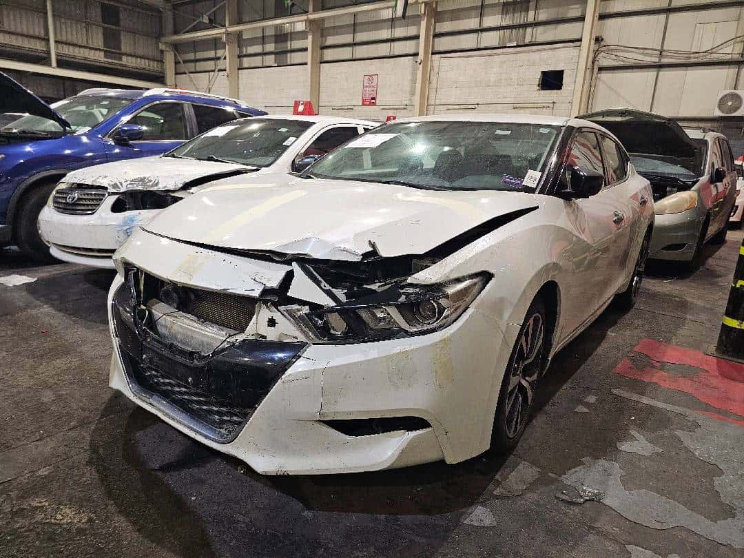 NISSAN MAXIMA 2016 thumbnail 1