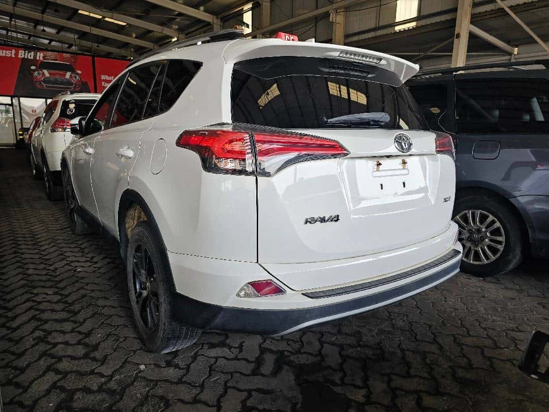 TOYOTA RAV4 2018 thumbnail 1