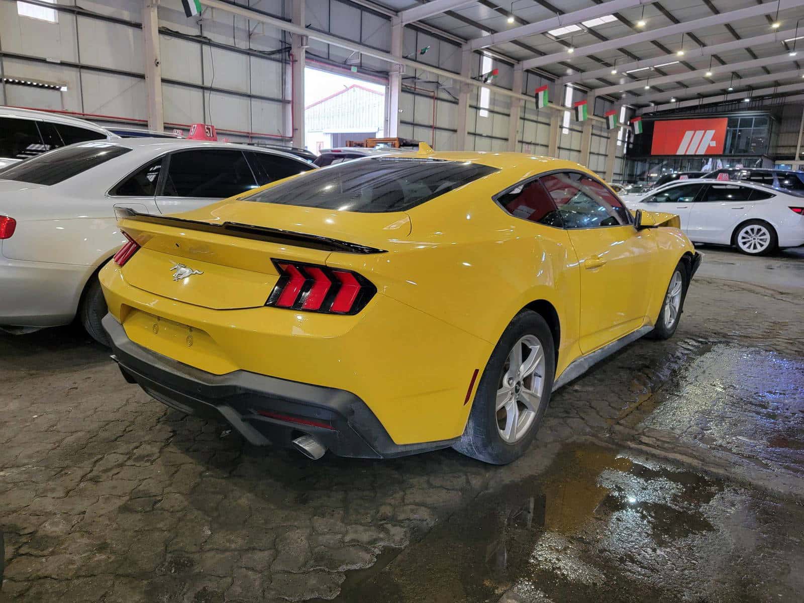 FORD MUSTANG 2024 thumbnail 3
